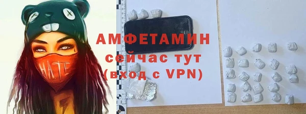 дмт Инта