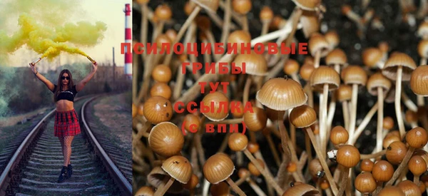 кокс Алексин