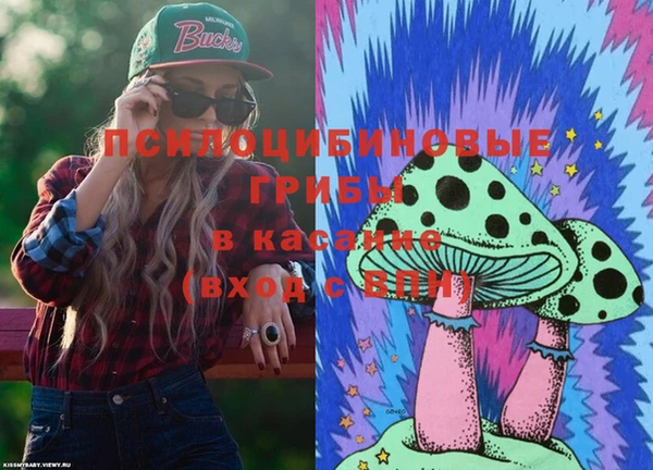 кокс Алексин