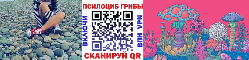 Псилоцибиновые грибы Psilocybine cubensis  Палласовка 